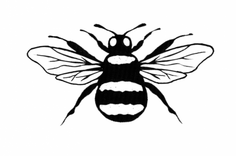 Bee 1